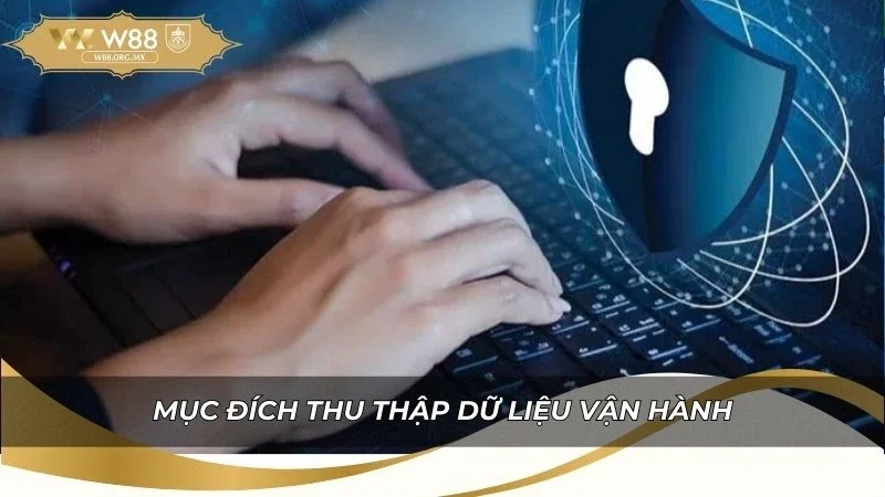 Quyền Riêng Tư W88 | Bảo Vệ Dữ Liệu Người Chơi 2026 2 Mục đích thu thập dữ liệu vận hành của nhà cái